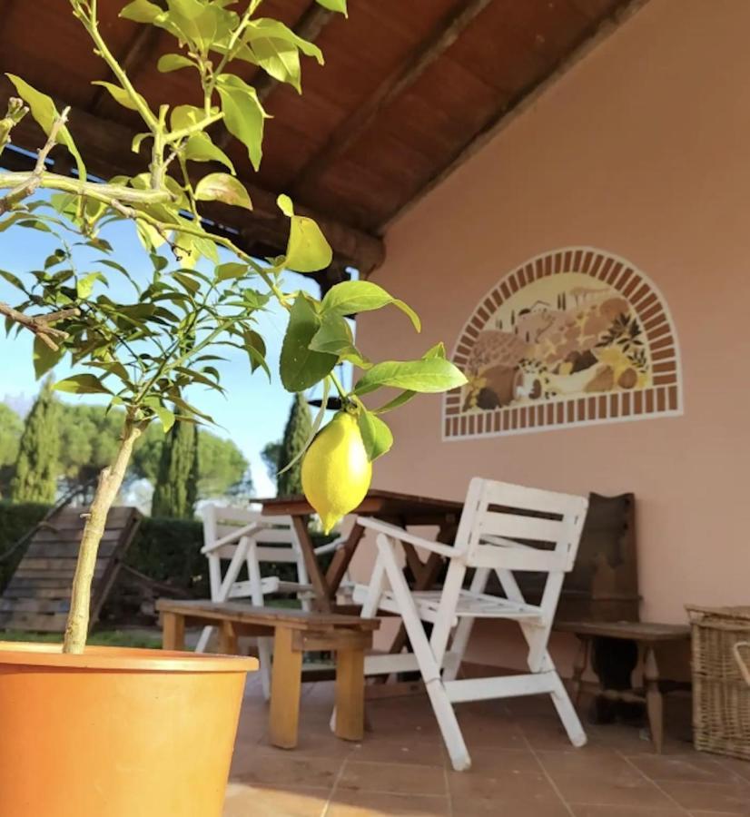 Villa Donnola: Casa Rosmarino Fucecchio Exteriér fotografie