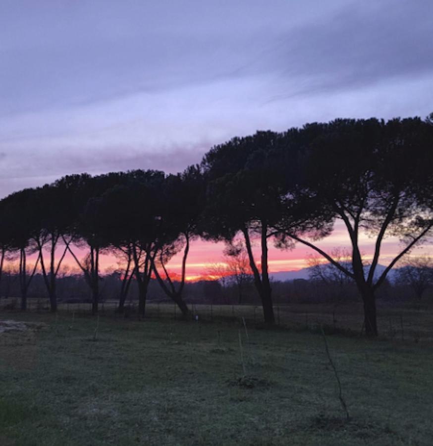 Villa Donnola: Casa Rosmarino Fucecchio Exteriér fotografie