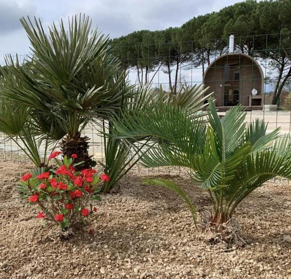 Villa Donnola: Casa Rosmarino Fucecchio Exteriér fotografie